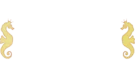 Casino Cruise Schweiz